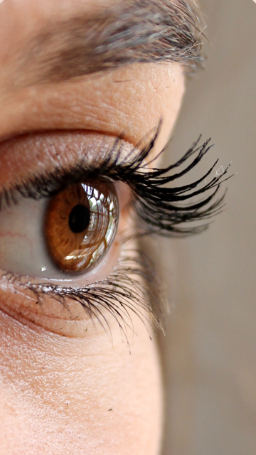 Lash Lift + Tint